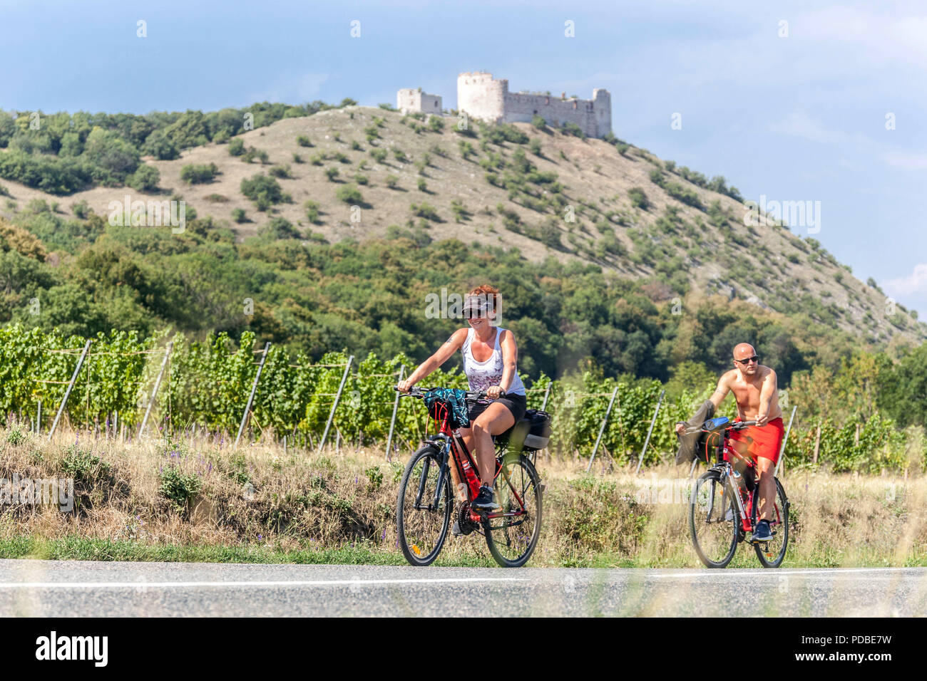 Cyklisté jedou vinicemi pod pálavskými zříceninami