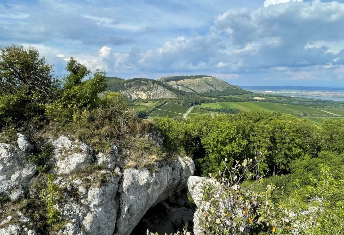 Pálava Hills landscape with vineyards and reservoirs
